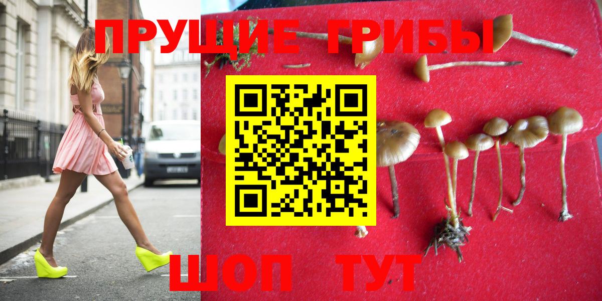 Семёнов  Псилоцибиновые грибы Cubensis  Псилоцибиновые грибы ЛСД  как найти закладки  Вход с VPN 